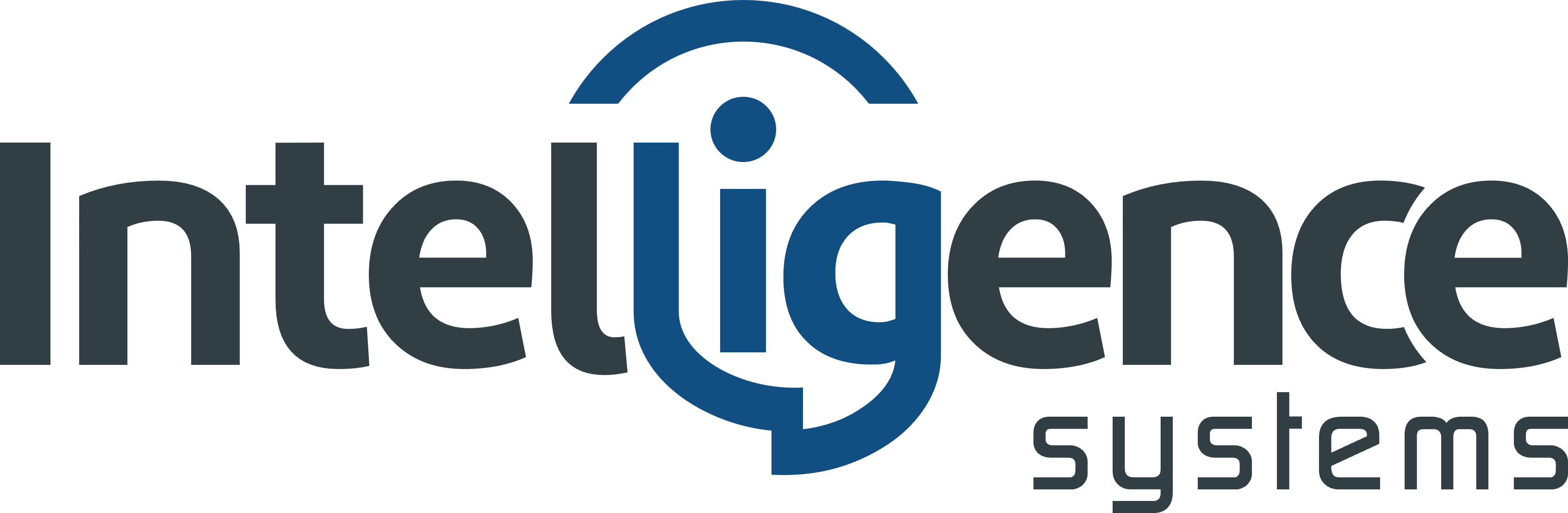 Intelligence Systems